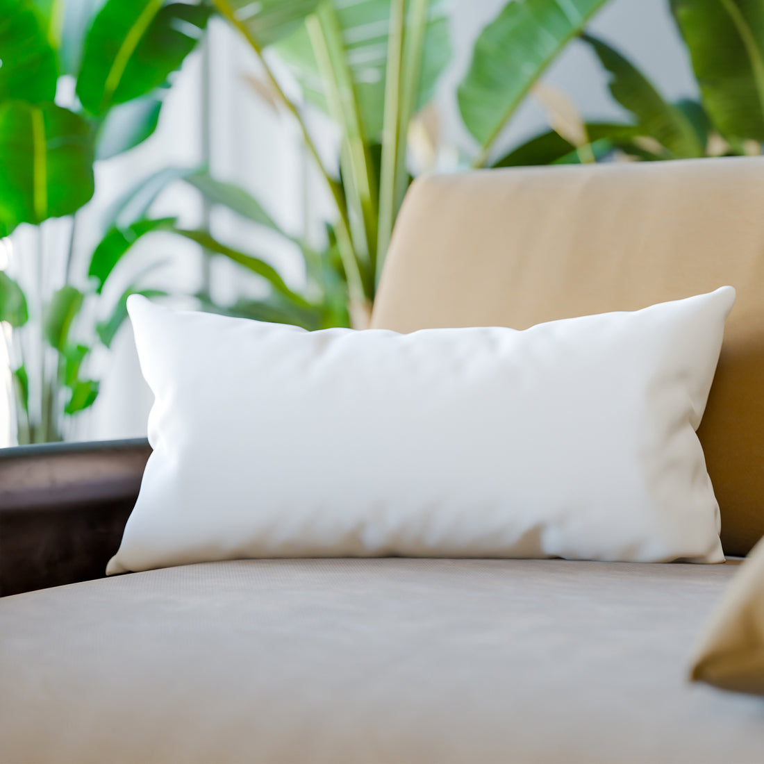 Organic Cotton Back Rest Pillow Inserts