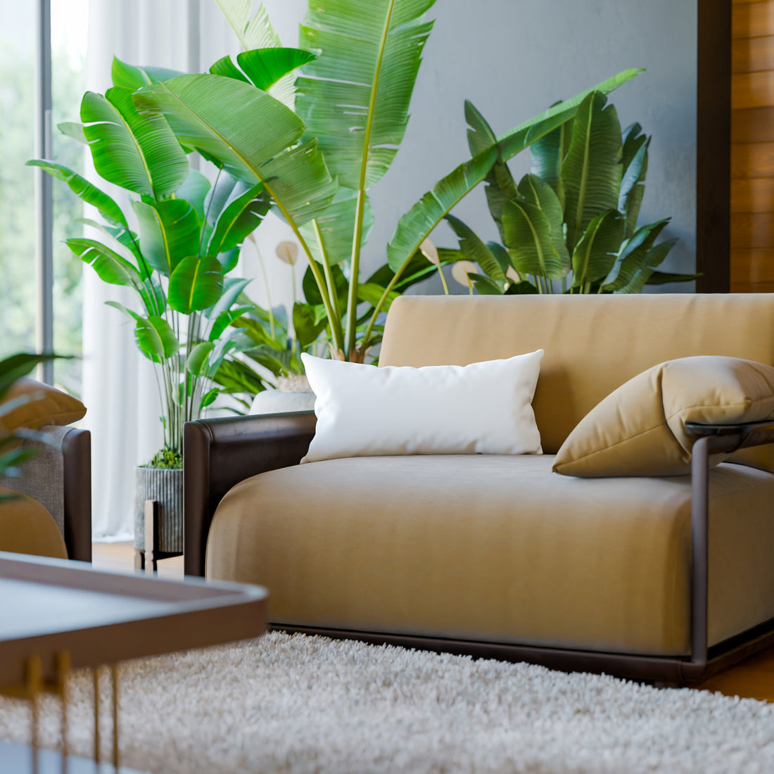 Organic Cotton Back Rest Pillow Inserts