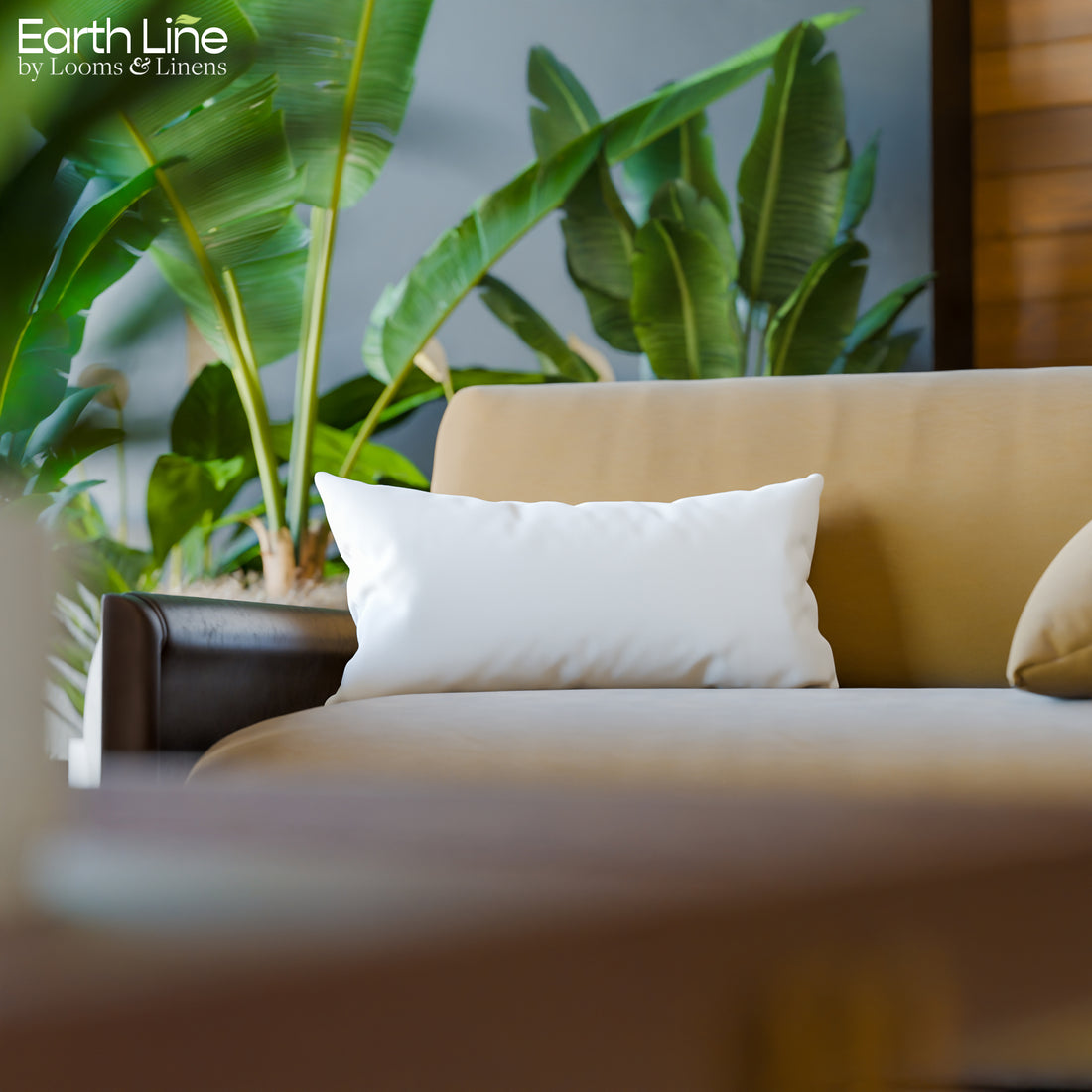 Organic Cotton Back Rest Pillow Inserts