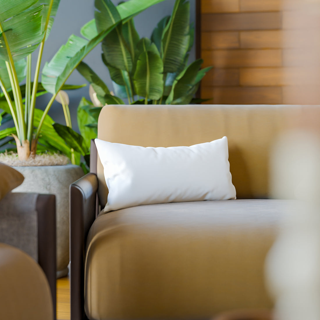 Organic Cotton Back Rest Pillow Inserts