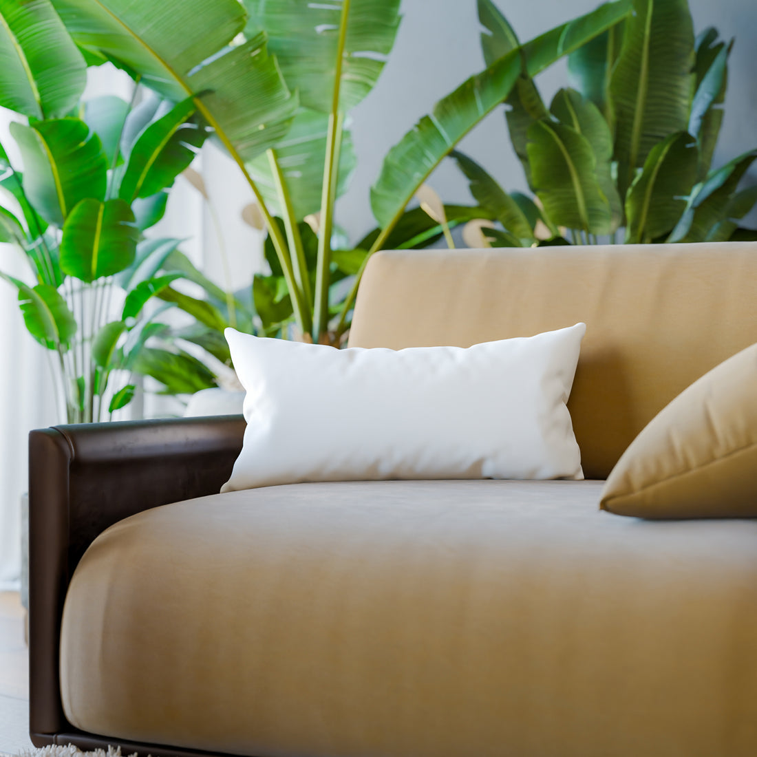 Organic Cotton Back Rest Pillow Inserts