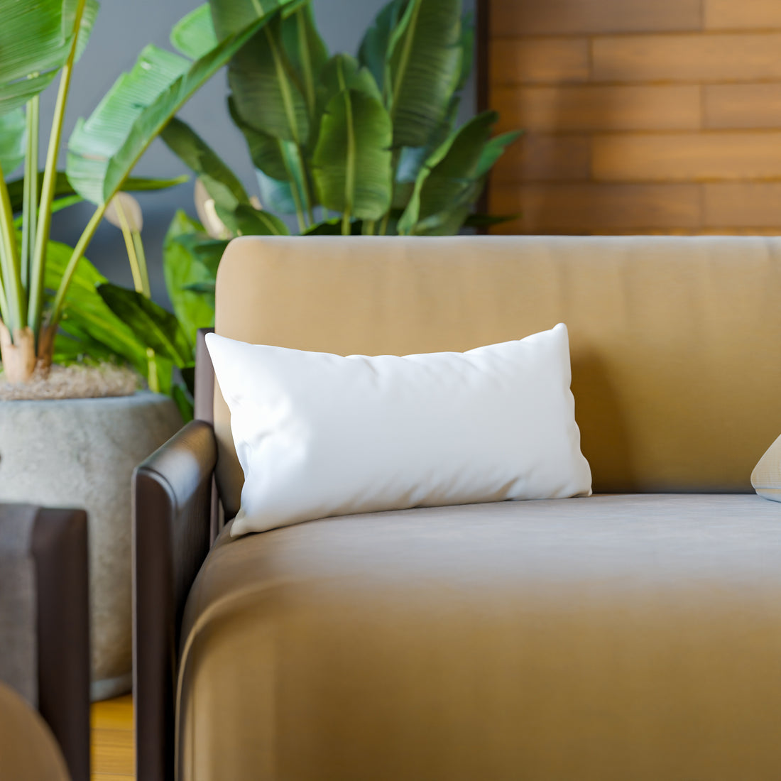 Organic Cotton Back Rest Pillow Inserts